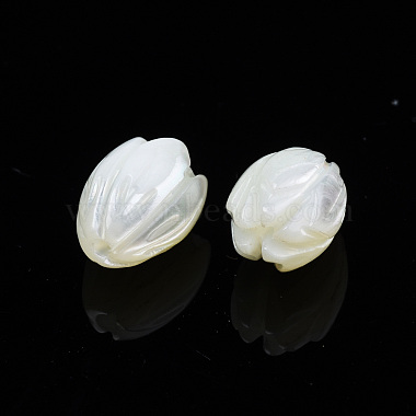 Natural Trochid Shell/Trochus Shell Beads(SSHEL-T014-33)-3