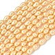 hebras de perlas de concha electrochapadas(BSHE-C010-01B)-1