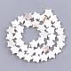 Freshwater Shell Beads Strands(SHEL-Q021-07)-2