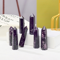 Tower Natural Lepidolite/Purple Mica Stone Home Display Decoration, Healing Stone Wands, for Reiki Chakra Meditation Therapy Decors, Hexagon Prism, 50~60mm(PW-WG15957-02)