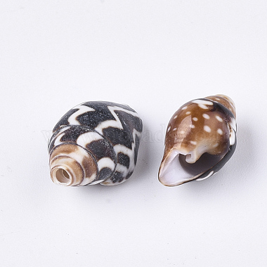 Spiral Shell Beads(SSHEL-T008-24)-2