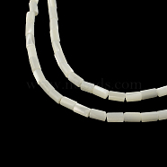 Column Natural Trochid Shell/Trochus Shell Beads Strands, 5~6x3.5mm, Hole: 0.5mm, about 68pcs/strand, 15.7 inch(SSHEL-F290-26)