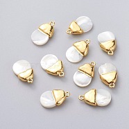 Shell Pendants, with Brass Findings, Teardrop, Golden, 20~22x12~13x5~6mm, Hole: 1.6mm(X-BSHE-G022-06G)