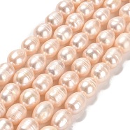 Natural Cultured Freshwater Pearl Beads Strands, Rice, Grade AB, PeachPuff, 10x8~9mm, Hole: 0.9mm, about 34~36pcs/strand, 13.58''(34.5cm)(PEAR-E016-121)