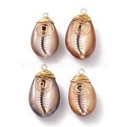 Natural Cowrie Shell Wire Wrapped Pendants, with Eco-Friendly Golden Copper Wire, for Jewelry Making, Camel, 25~35x14.5~19.5x8~10mm, Hole: 3mm(PALLOY-JF00571-01)