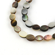 Oval Natural Black Lip Shell Beads Strands, 8x6x2.5~3mm, Hole: 0.5mm, about 49pcs/strand, 15.7 inch(SSHEL-F290-34)