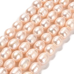 Natural Cultured Freshwater Pearl Beads Strands, Rice, Grade AB, PeachPuff, 10x8~9mm, Hole: 0.9mm, about 34~36pcs/strand, 13.58''(34.5cm)(PEAR-E016-121)