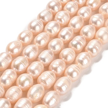 Natural Cultured Freshwater Pearl Beads Strands, Rice, Grade AB, PeachPuff, 10x8~9mm, Hole: 0.9mm, about 34~36pcs/strand, 13.58''(34.5cm)