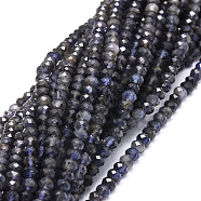 Natural Iolite Beads Strands, Faceted, Rondelle, 6x3mm, Hole: 0.8mm, about 106pcs/strand, 15.43''(39.2cm)(G-E569-H13-6mm)