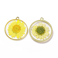 Transparent Clear Epoxy Resin Pendants, with Edge Golden Plated Alloy Loops, Flat Round Charms with Inner Flower, Yellow, 32.3x29.5x3.2mm, Hole: 2mm(RESI-L036-02G)