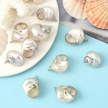 Electroplated Spiral Shell Pendants, with Iron Findings, Conch Charms, Platinum, 24~37x18~28x13~23, Hole: 2mm