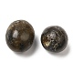 Perles de labradorite naturelles(G-O188-01)-4