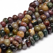 Natural Indian Agate Gemstone Nuggets Bead Strands, Tumbled Stone, 6~10x9~12x8~10mm, Hole: 1mm, about 15.3 inch~15.7 inch(G-J337-07)