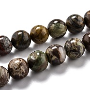 Round Natural Ocean Agate/Ocean Jasper Beads Strands, 10.5mm, Hole: 1.2mm, about 32pcs/strand, 14.84''(37.7cm)(G-O199-02C)