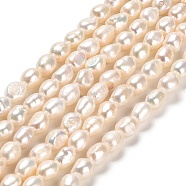 Natural Cultured Freshwater Pearl Beads Strands, Two Sides Polished, Grade 4A+, Linen, 5~6x4~5mm, Hole: 0.5mm, about 54~56pcs/strand, 12.99~13.98 inch(33~33.5cm)(PEAR-E016-065)