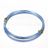 Round Aluminum Craft Wire, for Beading Jewelry Craft Making, Sky Blue, 18 Gauge, 1mm, 10m/roll(32.8 Feet/roll)(AW-D009-1mm-10m-19)