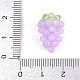 Handmade Lampwork Pendants(LAMP-T028-01)-3