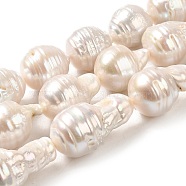 Natural Nucleated Pearl Beads Strands, Grade 4A-11, Peanut, Old Lace, 14~29x13~15.5mm, Hole: 0.7mm, about 20pcs/strand, 16.18''(41.1cm)(PEAR-E016-021)