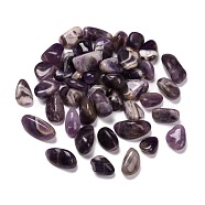 Natural Amethyst Beads, No Hole, Nuggets, Tumbled Stone, Healing Stones for 7 Chakras Balancing, Crystal Therapy, Meditation, Reiki, Vase Filler Gems, 9~45x8~35x4~30mm, about 47~143pcs/1000g(G-O029-08G)