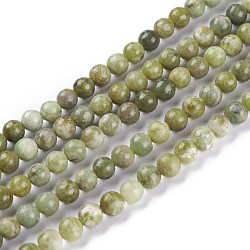 Natural Idocrase Beads Strands, Vesuvianite Beads, Round, 8mm, Hole: 1mm, about 50pcs/strand, 16 inch(G-N165-7-2)