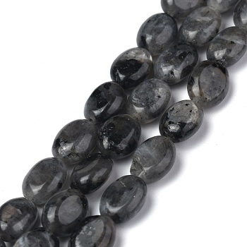 Natural Black Larvikite Beads Strands, Oval, 8x6x3.5~4mm, Hole: 1mm, about 45~52pcs/strand, 15.16~15.74 inch(38.5~40cm)