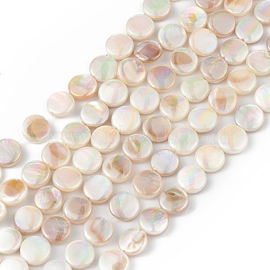 Colorful Flat Round Freshwater Shell Beads