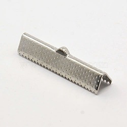 Iron Ribbon Crimp Ends, Rectangle, Platinum, 7x30.5mm, Hole: 1mm(IFIN-D052)