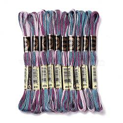 10 Skeins 6-Ply Polyester Embroidery Floss, Cross Stitch Threads, Segment Dyed, Dark Slate Gray, 0.5mm, about 8.75 Yards(8m)/skein(OCOR-K006-A27)