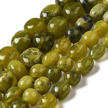 Natural Chinese Jade Beads Strands, Nuggets, Tumbled Stone, 10~19x9~14x9~13mm, Hole: 1mm