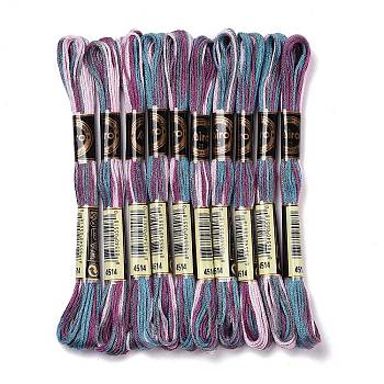 10 Skeins 6-Ply Polyester Embroidery Floss, Cross Stitch Threads, Segment Dyed, Dark Slate Gray, 0.5mm, about 8.75 Yards(8m)/skein