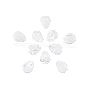 Natural Shell Beads Strands(SSHEL-CJ0001-08)-3