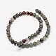 Natural Bloodstone Beads Strands(G-P025-21-8mm)-2