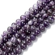 Natural Gemstone Beads Strands, Amethyst, AB Grade, Round, Purple, 7.5mm, Hole: 1mm, about 50pcs/strand, 14.5~15(37.5-38cm)(G-S030-7.5mm)