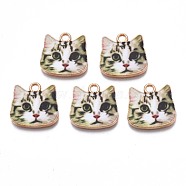 Printed Alloy Pendants, Cadmium Free & Nickel Free & Lead Free, Light Gold, Cat Head, Light Green, 17x17.5x1.5mm, Hole: 2mm(PALLOY-N168-002G)