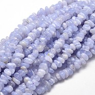 Natural Blue Lace Agate Chip Beads Strands, 5~14x4~10mm, Hole: 1mm, about 15.5 inch~16.1 inch(G-E271-73)