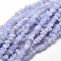 Natural Blue Lace Agate Chip Beads Strands, 5~14x4~10mm, Hole: 1mm; about 15.5 inches~16.1 inches