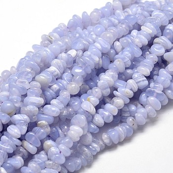 Natural Blue Lace Agate Chip Beads Strands, 5~14x4~10mm, Hole: 1mm, about 15.5 inch~16.1 inch