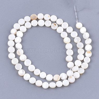 Freshwater Shell Beads Strands(SHEL-S276-15A)-2