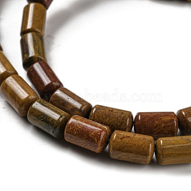 Natural Petrified Wood Beads Strands(G-M420-E06-03)-4