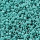 opaques perles de rocaille de verre(SEED-S042-22B-04)-3