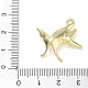 Alloy Pendants(AL-CBA1599-02G)-3