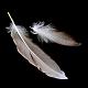 Chicken Feather Costume Accessories(FIND-Q046-04)-3