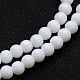 Opaque Color Glass Round Bead Strands(GLAA-I026-10mm-02)-1