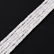 Natural Rainbow Moonstone Beads Strands, Faceted, Cube, 2x2x2mm, Hole: 0.6mm, about 167pcs/strand, 15.47 inch(39.3cm)(G-K315-B08)