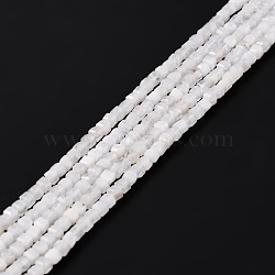 Natural Blue Moonstone Beads Strands, Faceted, Cube, 2x2x2mm, Hole: 0.6mm, about 167pcs/strand, 15.47 inch(39.3cm)(G-K315-B08)