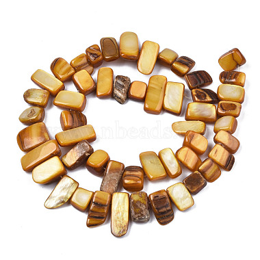 Natural Trochid Shell/Trochus Shell Beads Strands(SHEL-S258-082-B09)-2