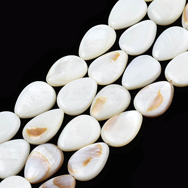 Shell normal de perles blanches de brins(X-PBB263Y-1)-6