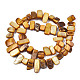 Natural Trochid Shell/Trochus Shell Beads Strands(SHEL-S258-082-B09)-2