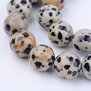 Natural Dalmatian Jasper Beads Strands, Round, 10~10.5mm, Hole: 1.2mm, about 36pcs/strand, 15.5 inch(X-G-Q462-10mm-30)