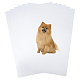 a3 papeles de transferencia térmica imprimibles para mascotas(DIY-WH0043-11B)-1